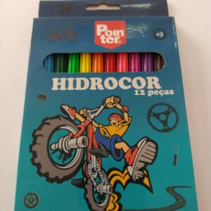 Canetinha hidrocor 12 cores