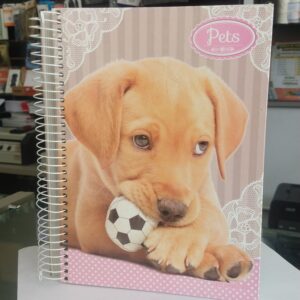 Caderno escolar capa dura 240 folhas